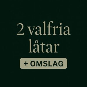 2 Valfria låtar + omslag – 600 kr